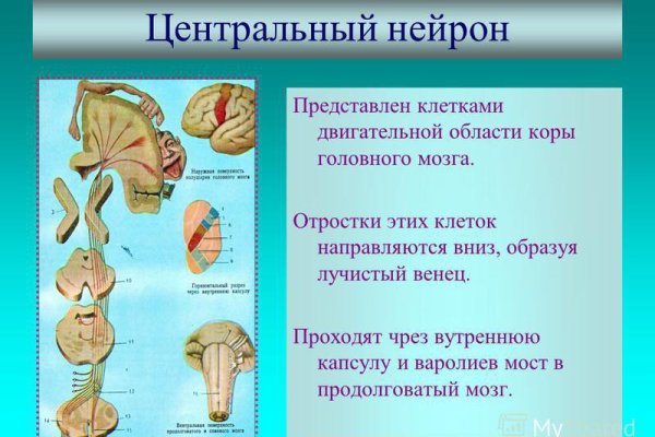 Как зайти на кракен браузеры