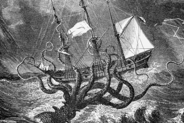 Kraken com login