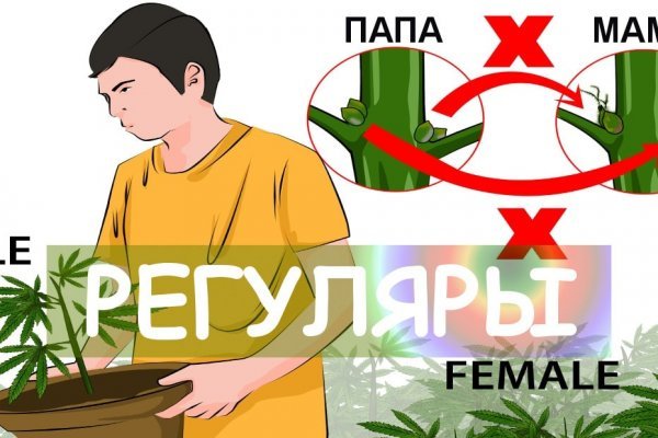 Как найти кракен в торе